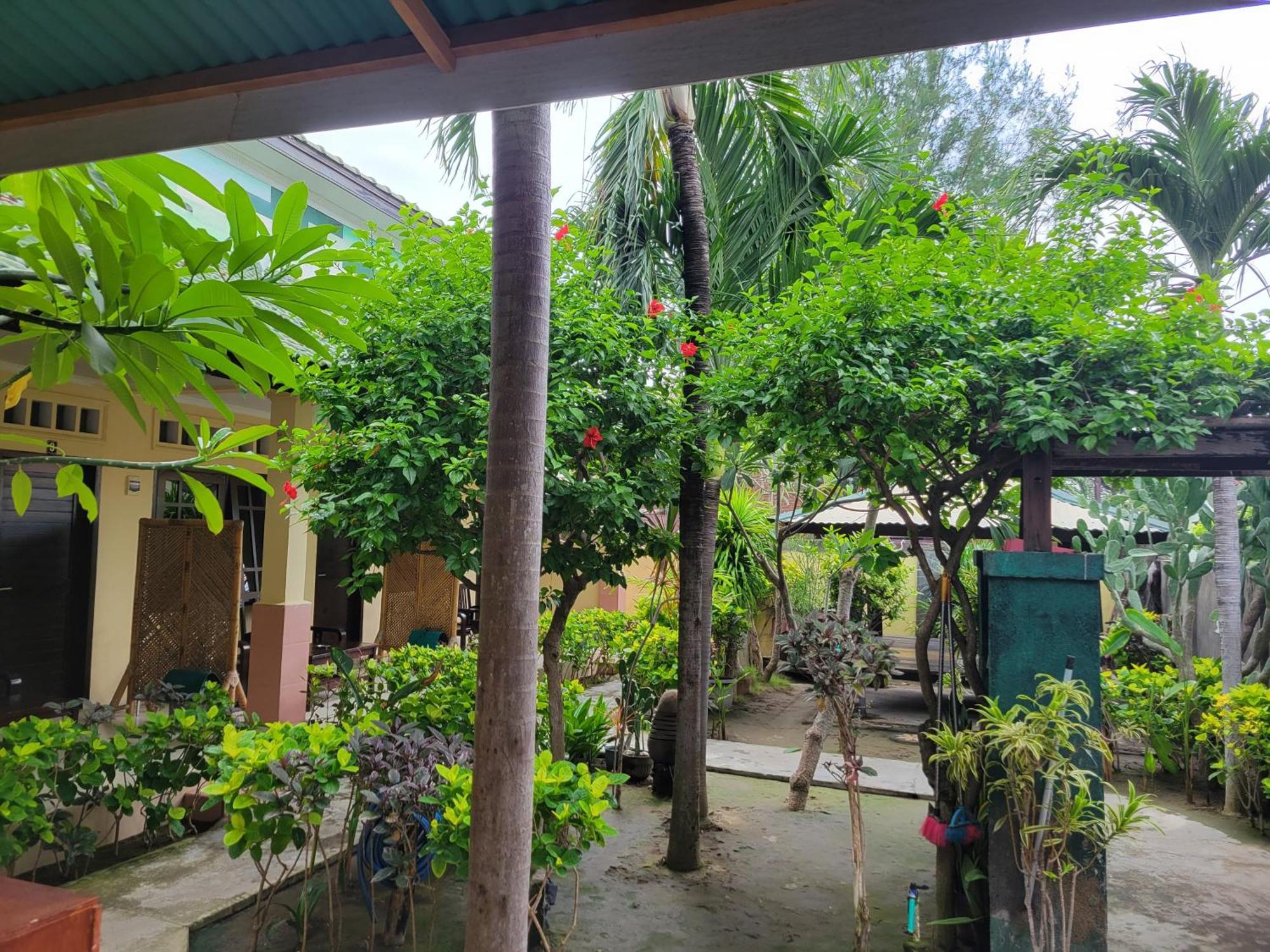 Koi Gili 2*